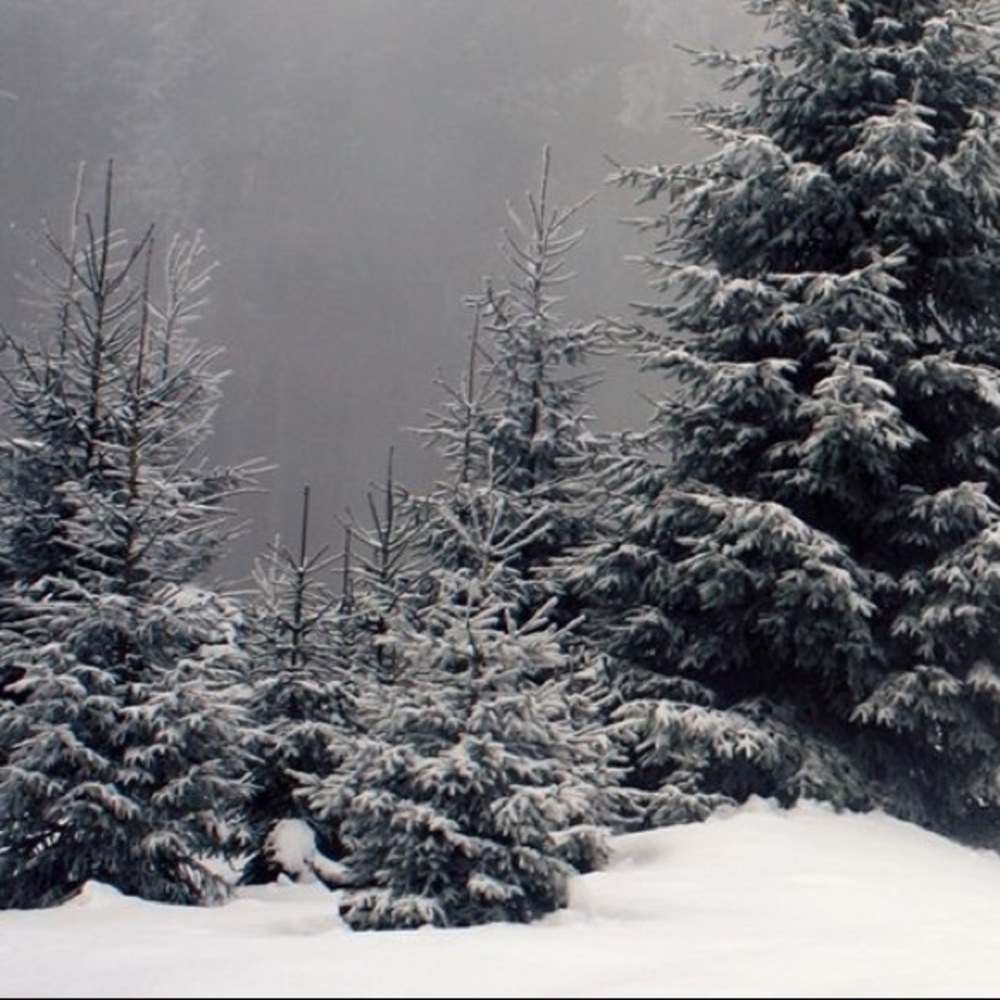 Meet your Posher, Deepika